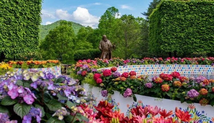 8 Places In North Carolina To See Spring Blooming In All Its Glory
