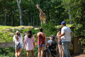 Celebrate 50 Years Of The North Carolina Zoo With A Wild Visit Or Two