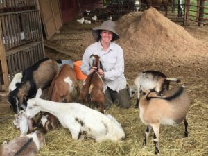 Explore the 9 Cheesemakers of the WNC Cheese Trail