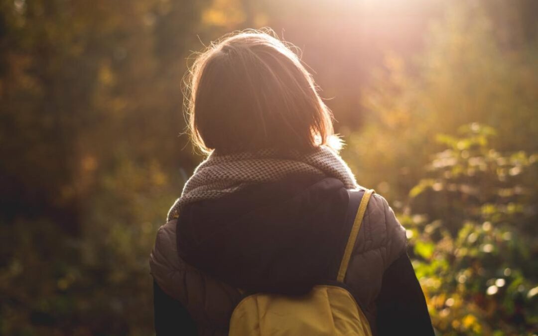 Highest-rated things to do in North Carolina, according to Tripadvisor