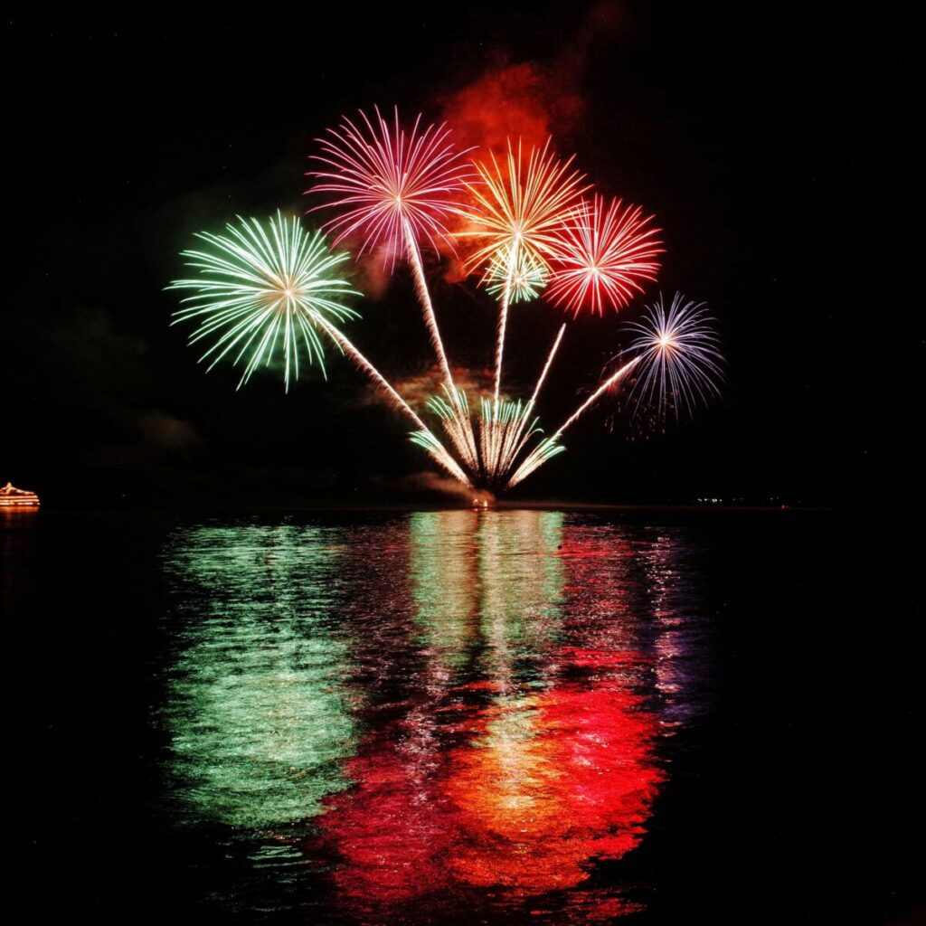 Fireworks at night over the water.