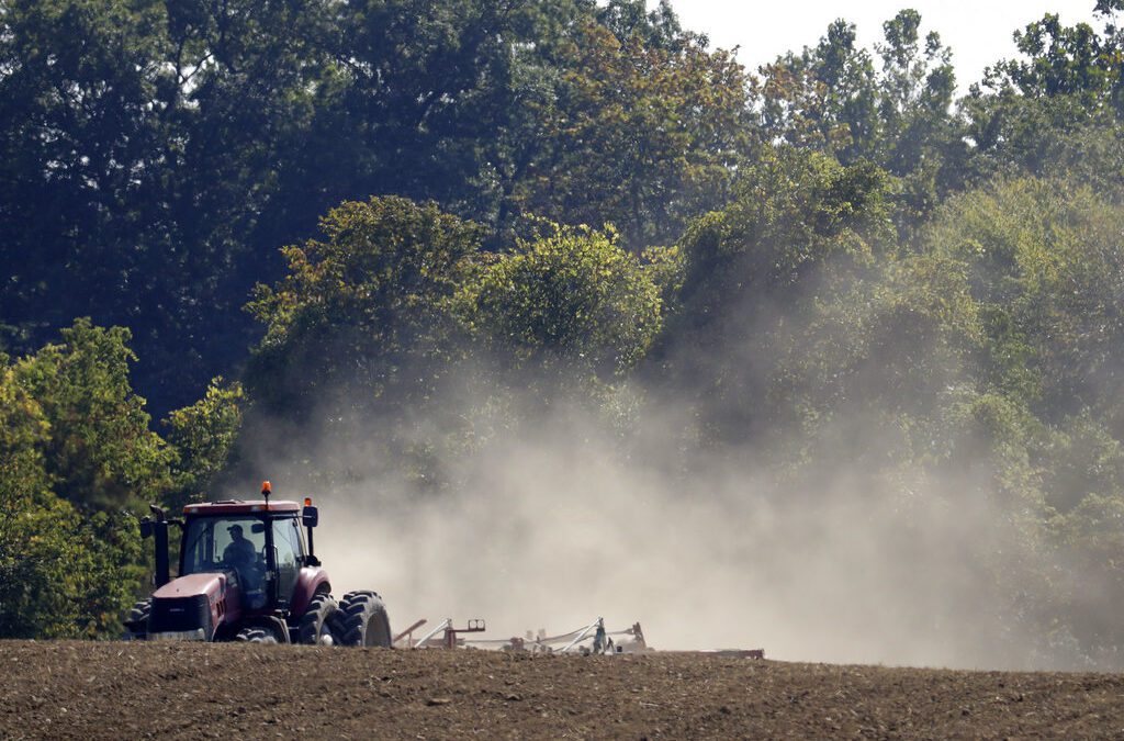 Opinion: How North Carolina fails its farmworkers