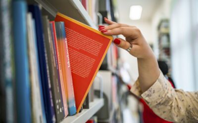 The Triangle Guide: The best bookstores in Raleigh, Durham, and Chapel Hill