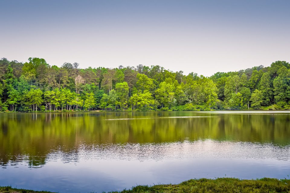 A lake view of William Umstead State Park.