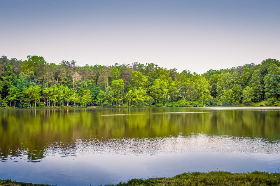 The Triangle Guide: Our readers’ favorite parks