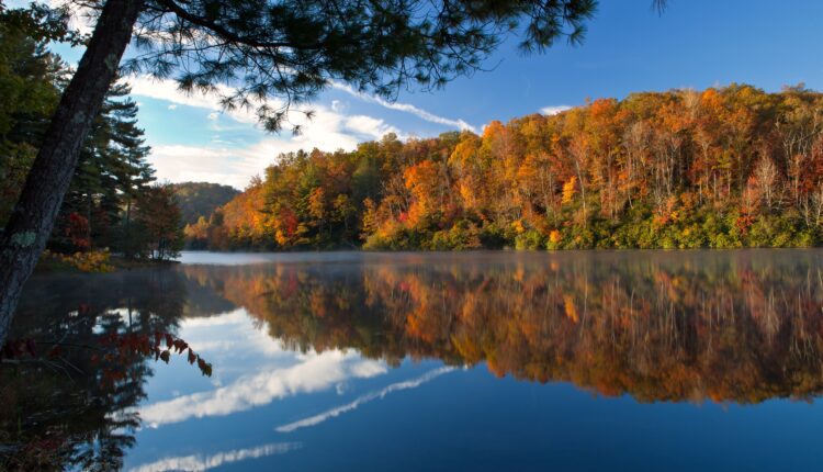 Cozy Waterfront Cabins to Rent in NC This Fall