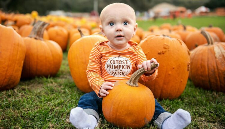15 biggest & best pumpkin patches in North Carolina