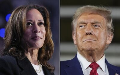 Kamala Harris proposed a plan to help small business owners. Trump’s plan could send their costs through the roof.