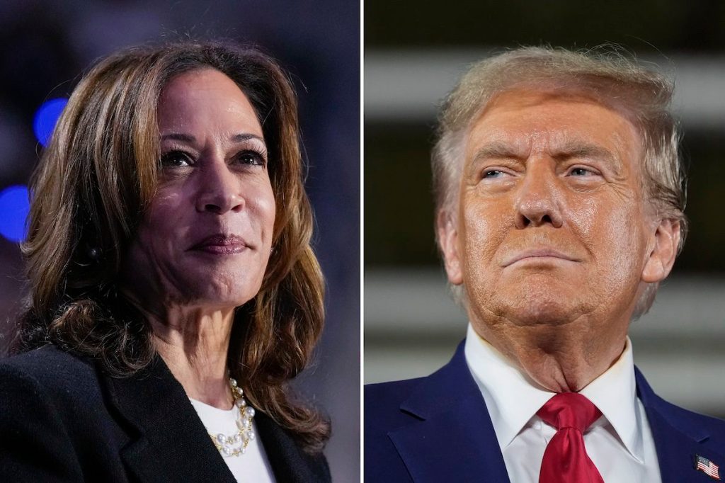 Kamala Harris proposed a plan to help small business owners. Trump’s plan could send their costs through the roof.