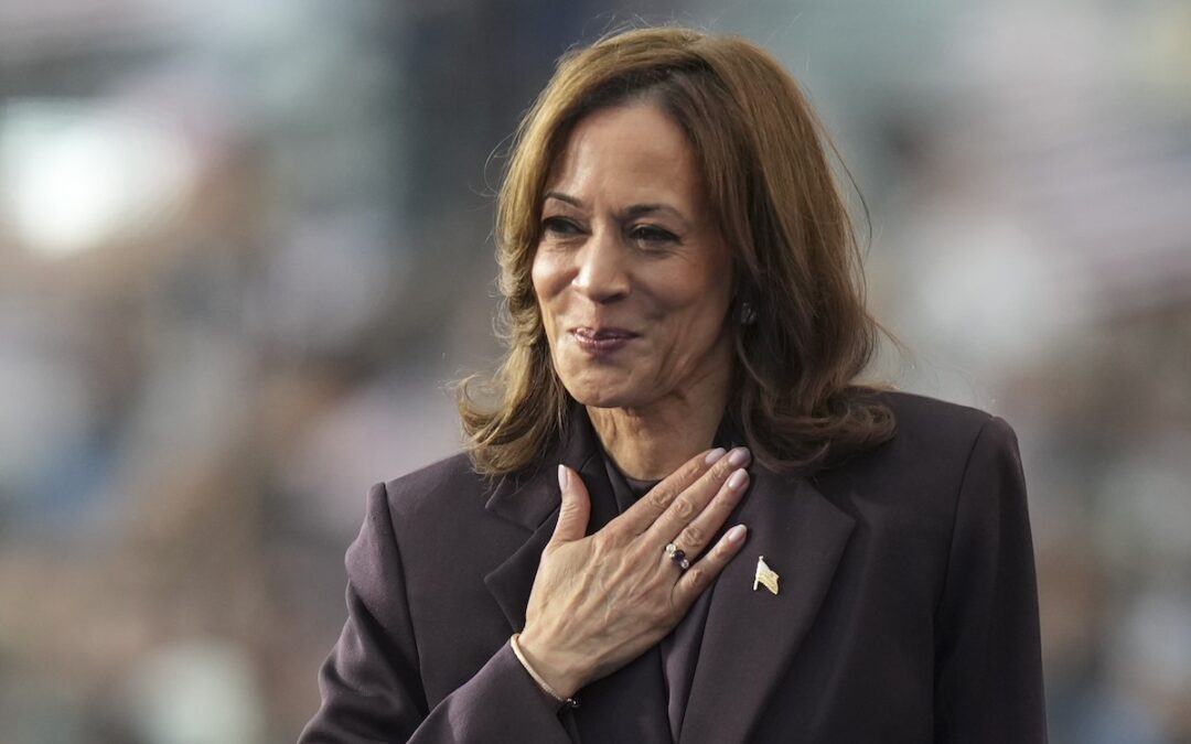 Harris says nation must accept election results while urging supporters to keep fighting