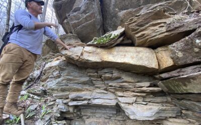 Whistleblower sounds alarm about destruction of tribal sites in North Carolina