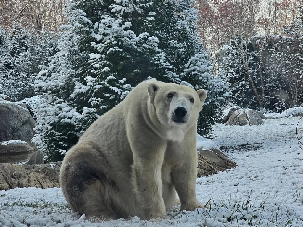 North Carolina Zoo