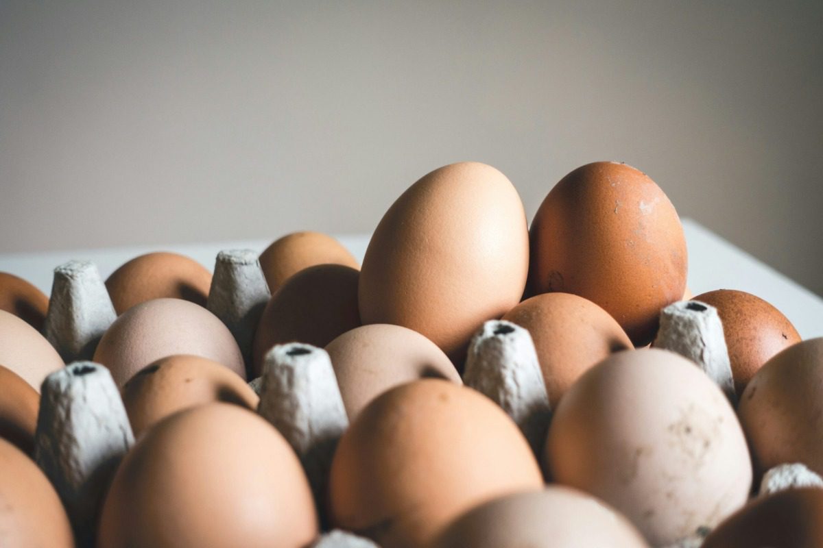 NC Costcos recall organic eggs due to salmonella risk