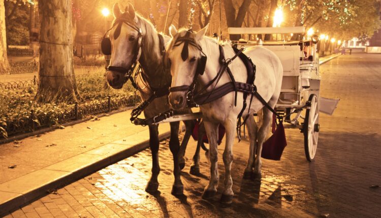 9 horse-drawn carriage tours to try in North Carolina