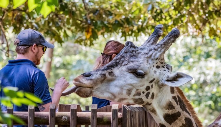 The 6 most ethical aquariums & zoos in North Carolina
