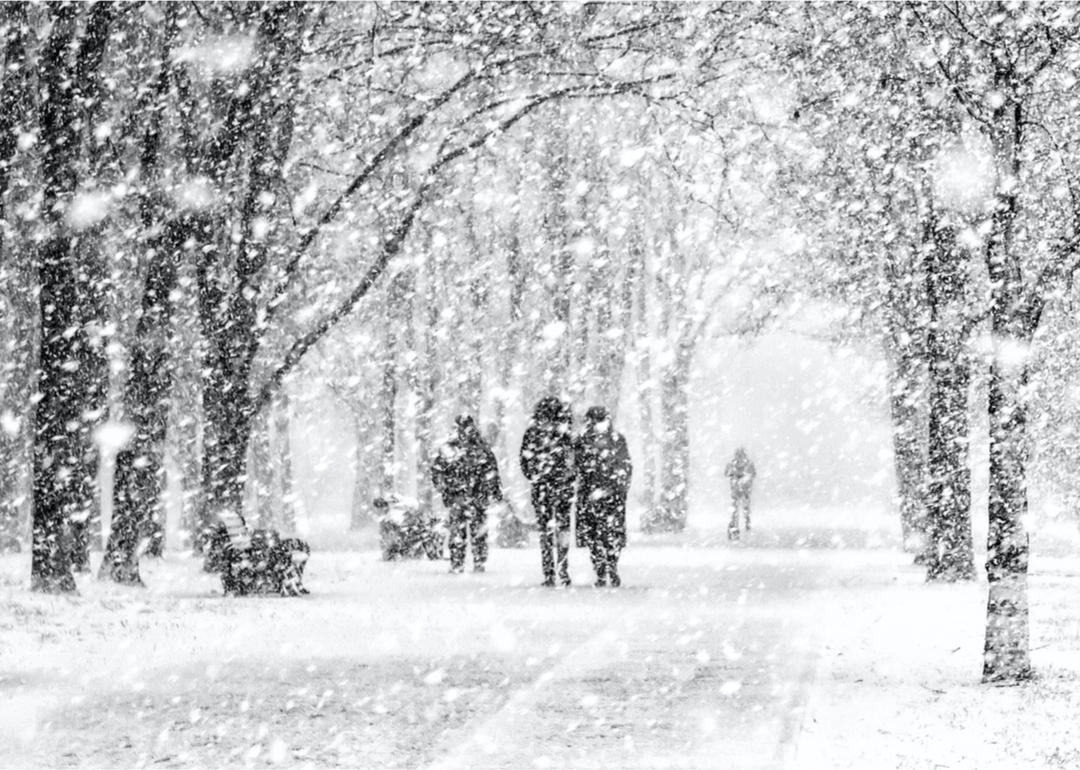 The biggest snowfalls recorded in North Carolina history The biggest snowfalls recorded in North Carolina history