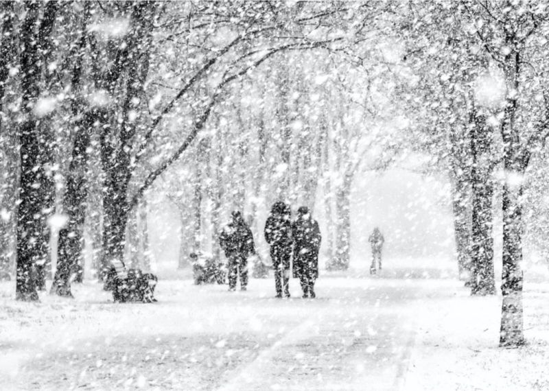 Biggest Snowfalls in North Carolina History