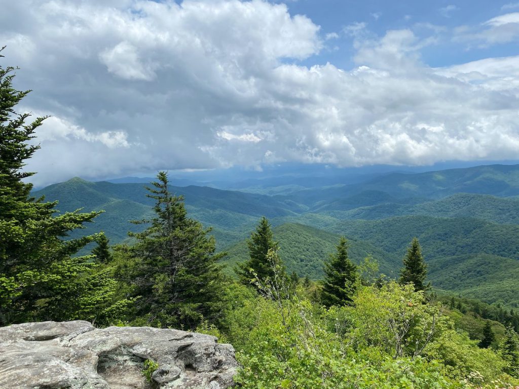 Dalton George: How the Hellbender unites North Carolina’s mountains