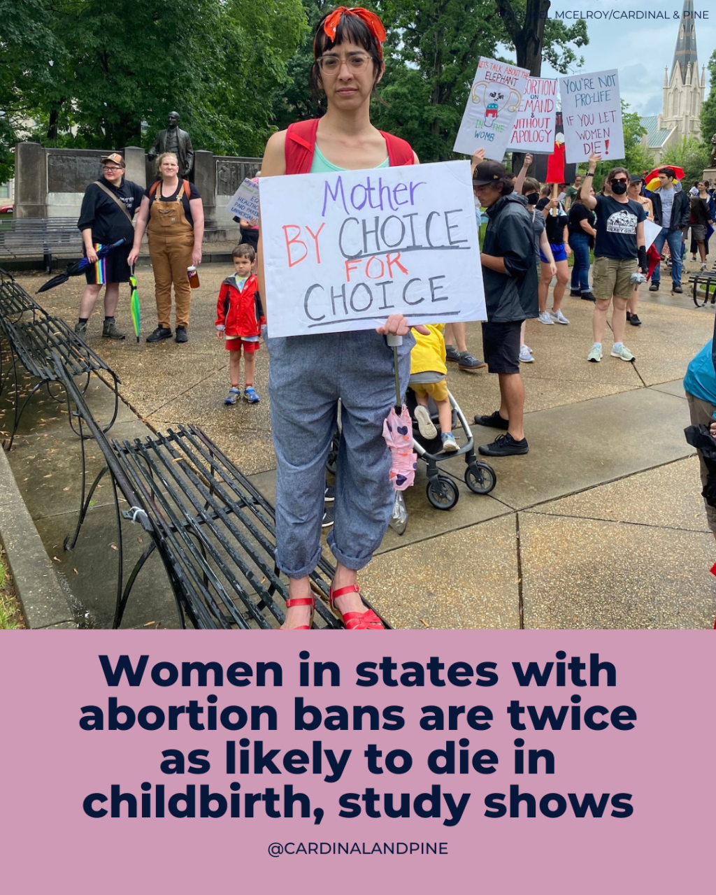 💀 This NC Flower Smells Like a Dead Body