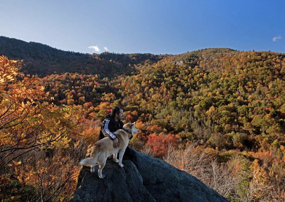 a man and his dog at grandfather mountain in the fall
