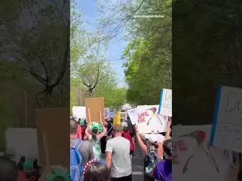Video: ‘Hands Off’ protesters in Charlotte tell Sen. Thom Tillis to stand up to Trump