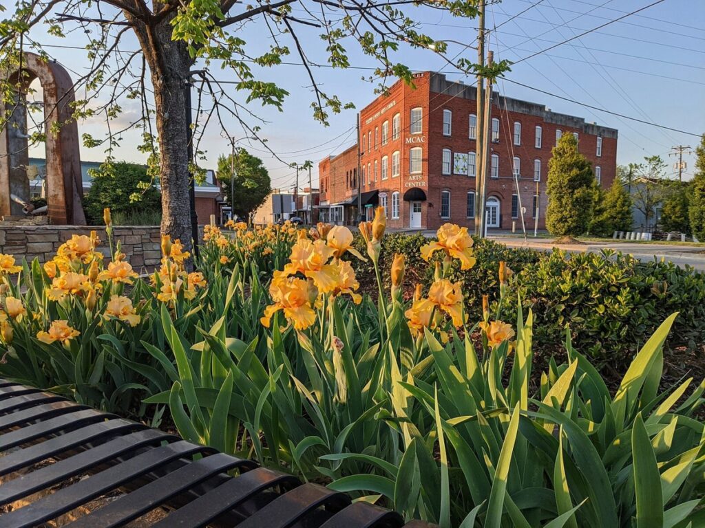 Downtown Williamston, North Carolina
