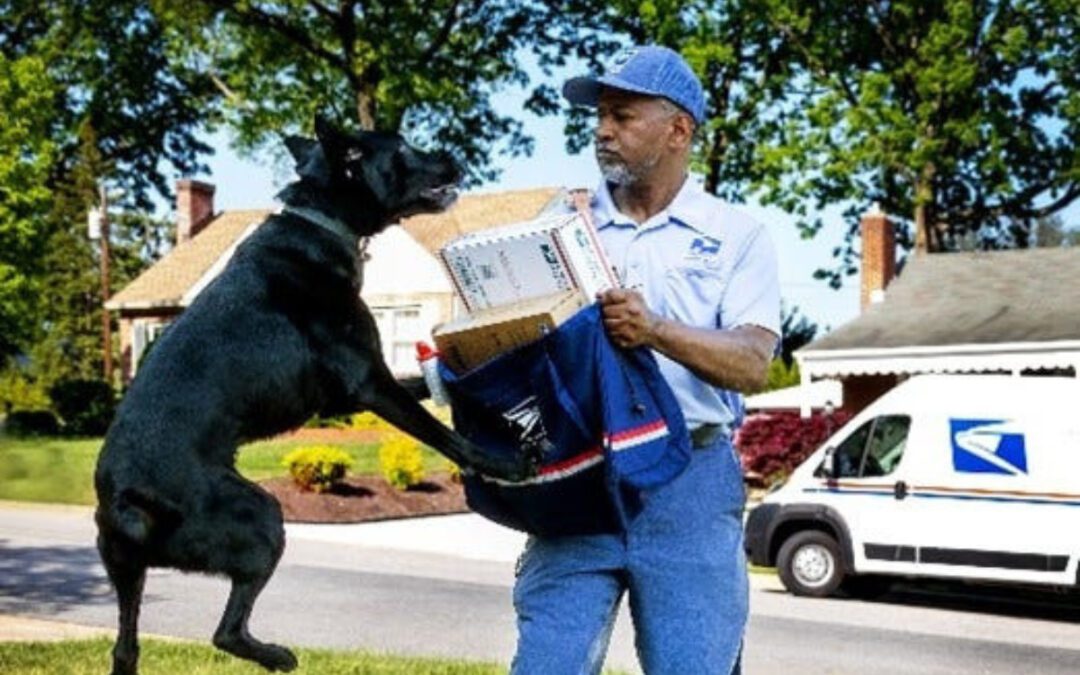 The Postal Service ranks states with the most dog attacks. Here’s where North Carolina lands.