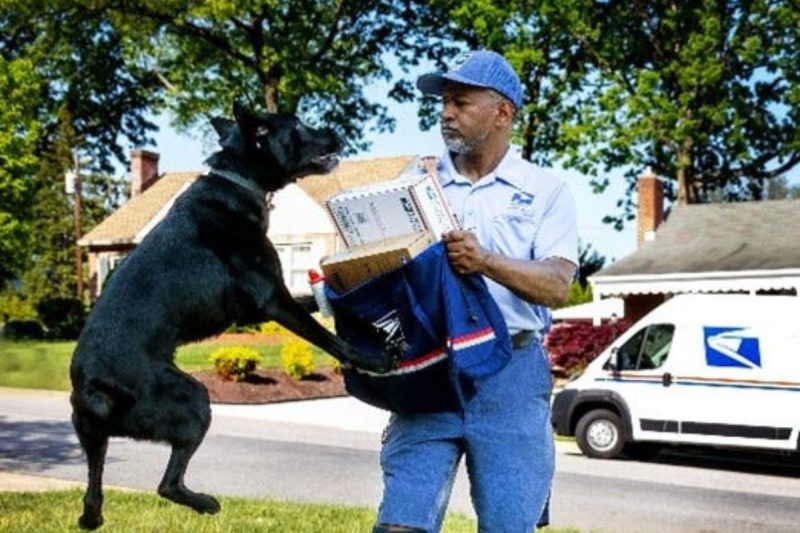 Dog Attacks on Post Office Workers