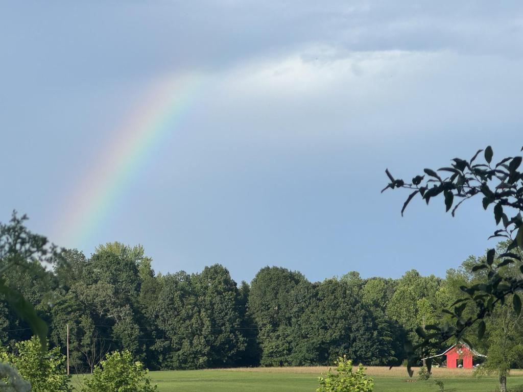 ❤️ NC teen wins Steph Curry’s golf tourney