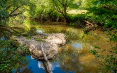 Before Chantal swamped the NC town of Hillsborough, locals had been counting on FEMA