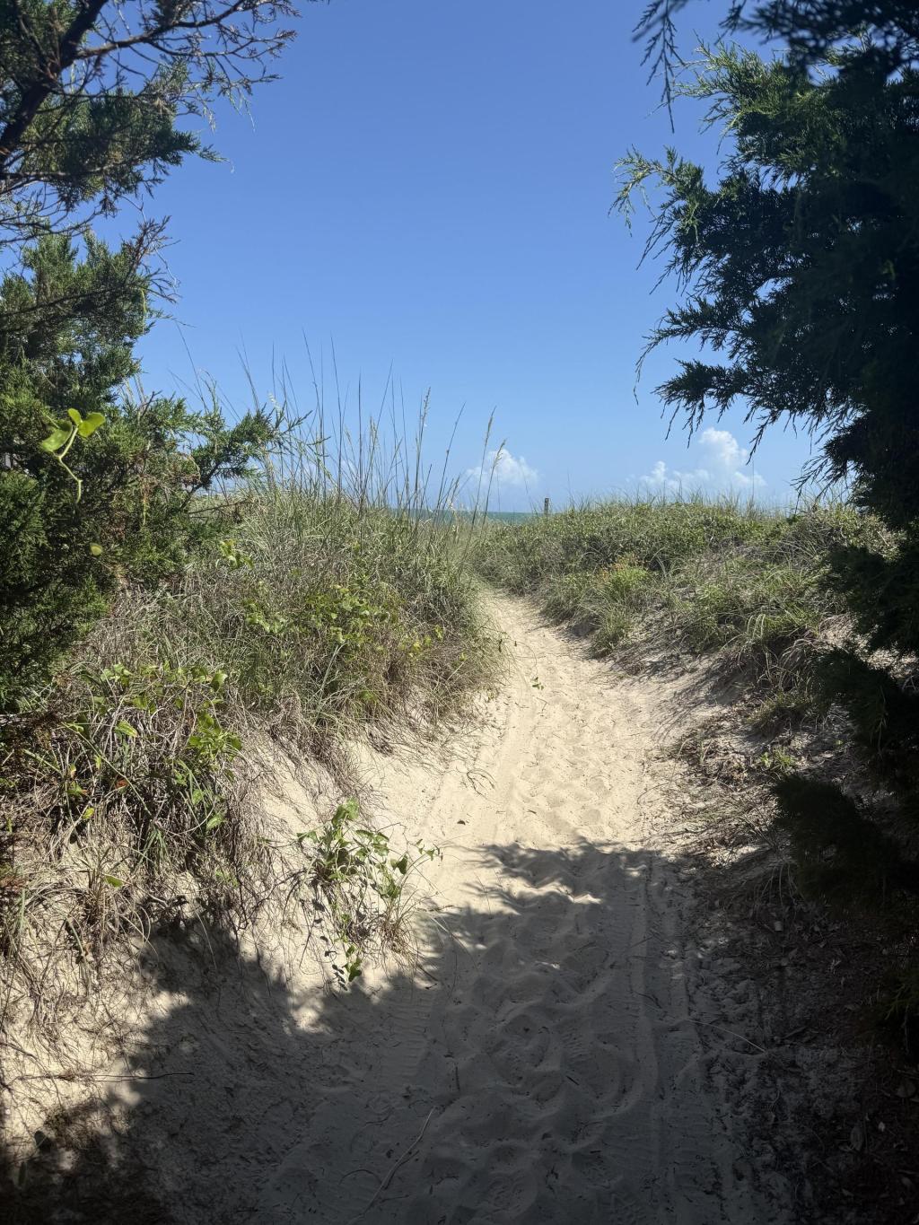 Report: Roy Cooper running for US Senate