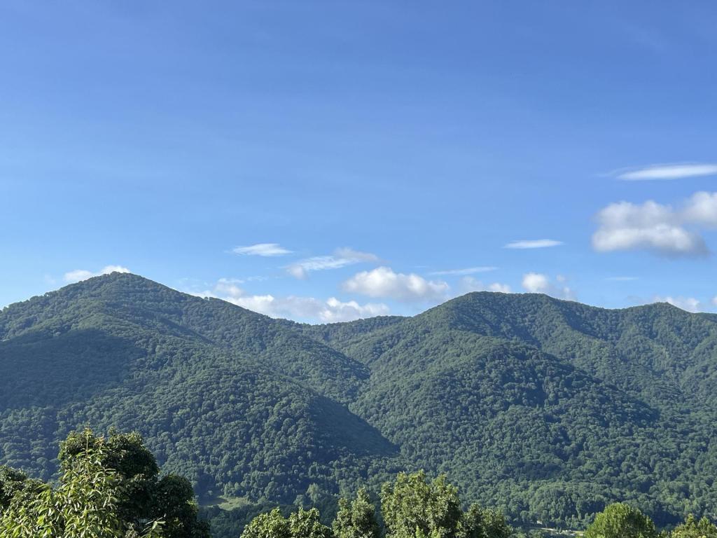 BREAKING: Trump releasing $165M in NC school money