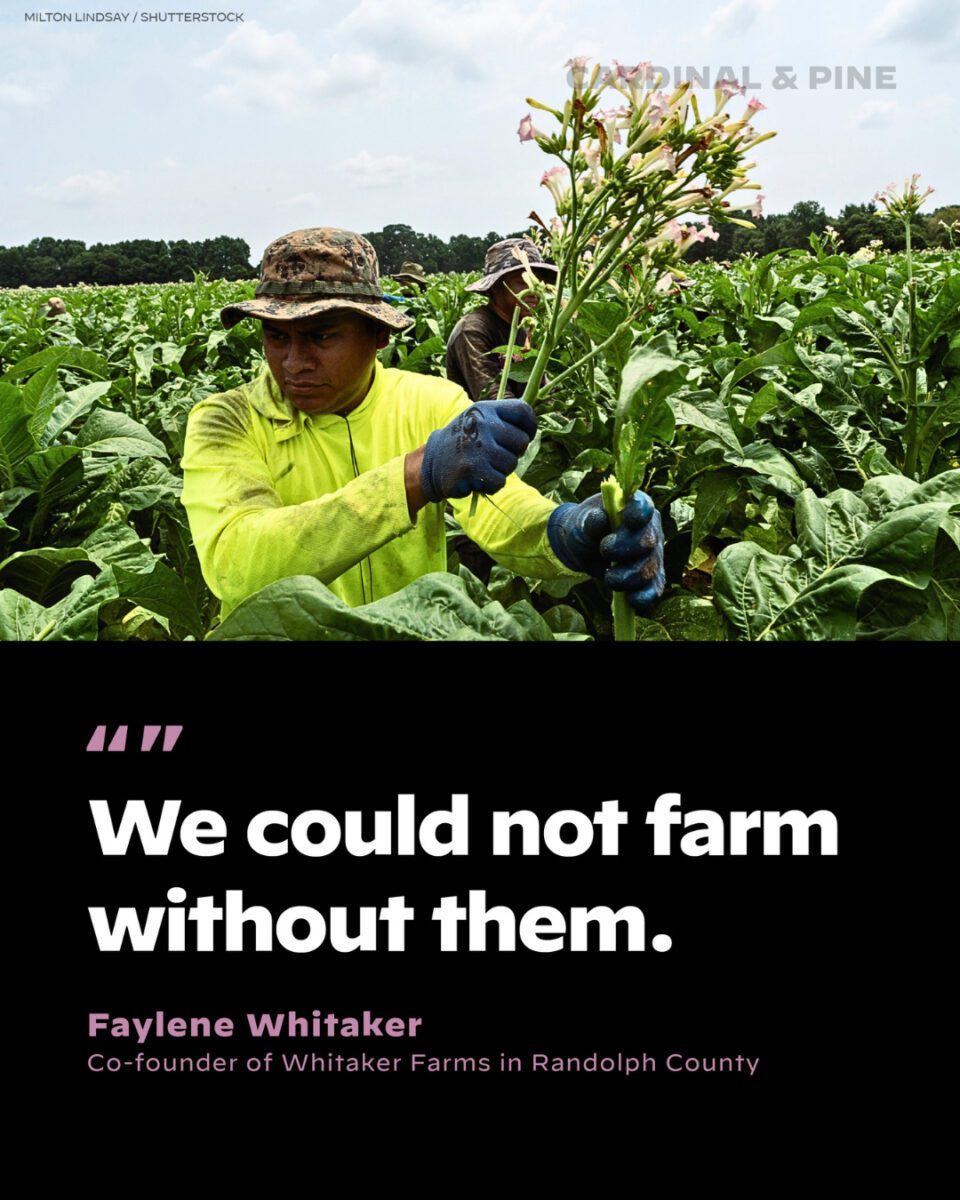 How Trump's immigration crackdown affects NC's workforce