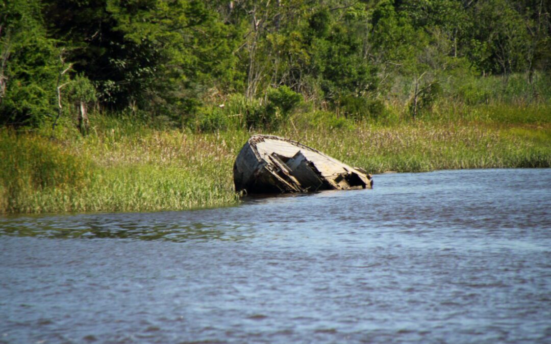 Holy ship! Remains from 4 potential shipwrecks were found in NC