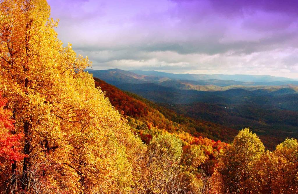 🍂 8 fall festivals across North Carolina