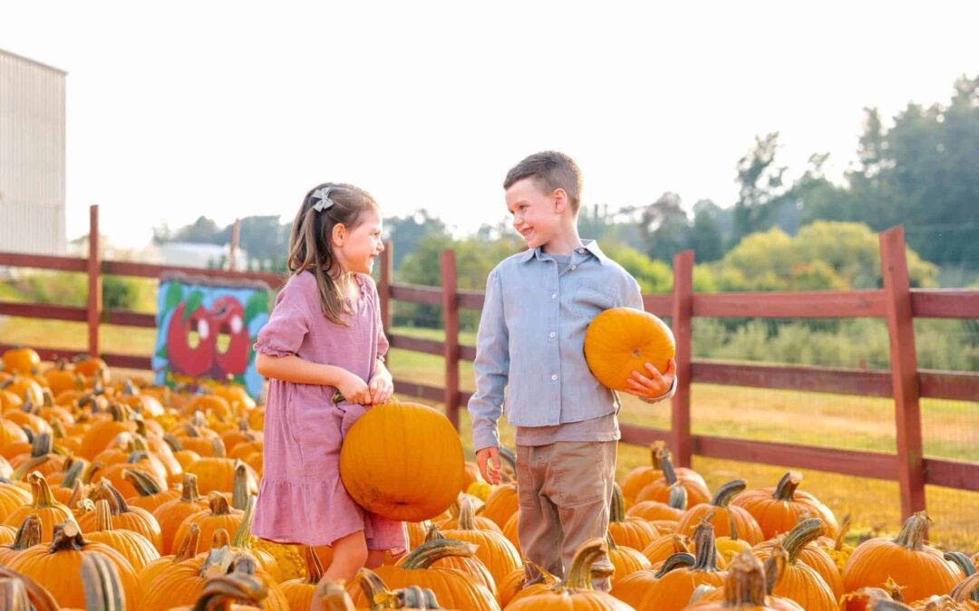 11 best North Carolina farms for picking your own pumpkins