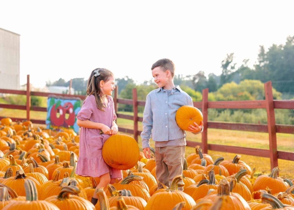 11 best North Carolina farms for picking your own pumpkins