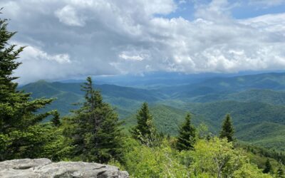 A year after Helene devastated their towns, western NC leaders discuss the road to recovery