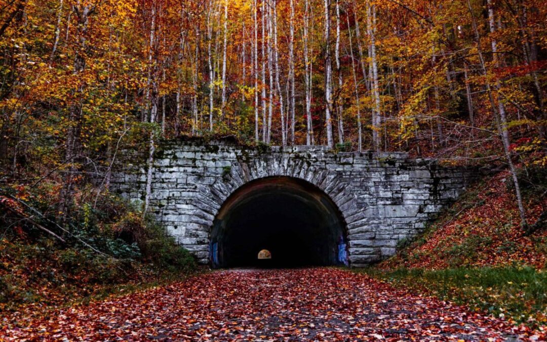 ‘Ooh’ and ‘ah’ at fall foliage on North Carolina’s prettiest autumn drives