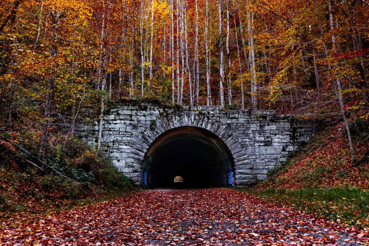 ‘Ooh’ and ‘ah’ at fall foliage on North Carolina’s prettiest autumn drives ‘Ooh’ and ‘ah’ at fall foliage on North Carolina’s prettiest autumn drives