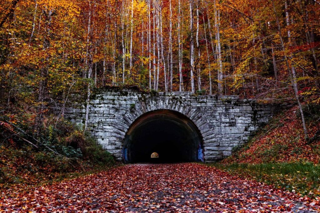 ‘Ooh’ and ‘ah’ at fall foliage on North Carolina’s prettiest autumn drives