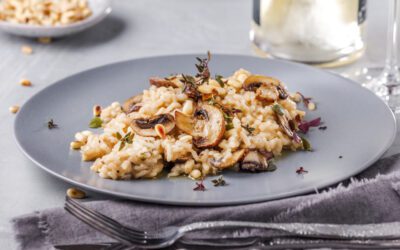 Our favorite fall recipes, as chosen by the Cardinal & Pine team in North Carolina