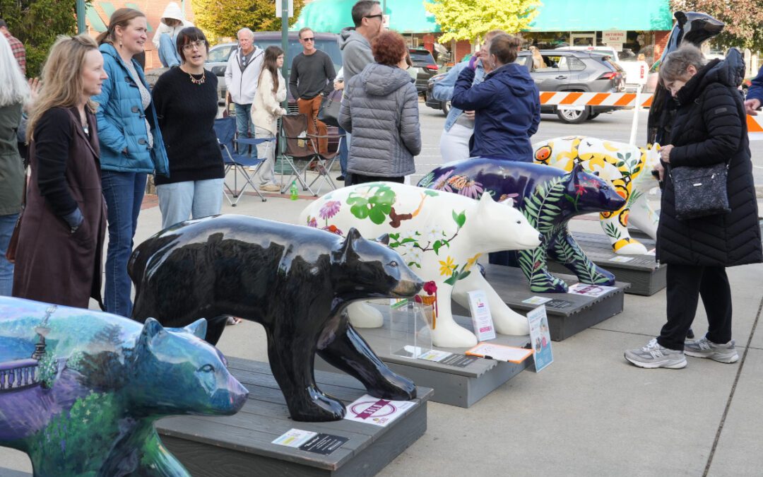 Post-Helene, Hendersonville art auction has ‘best year so far’