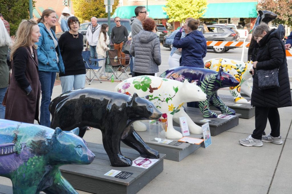 Post-Helene, Hendersonville art auction has ‘best year so far’