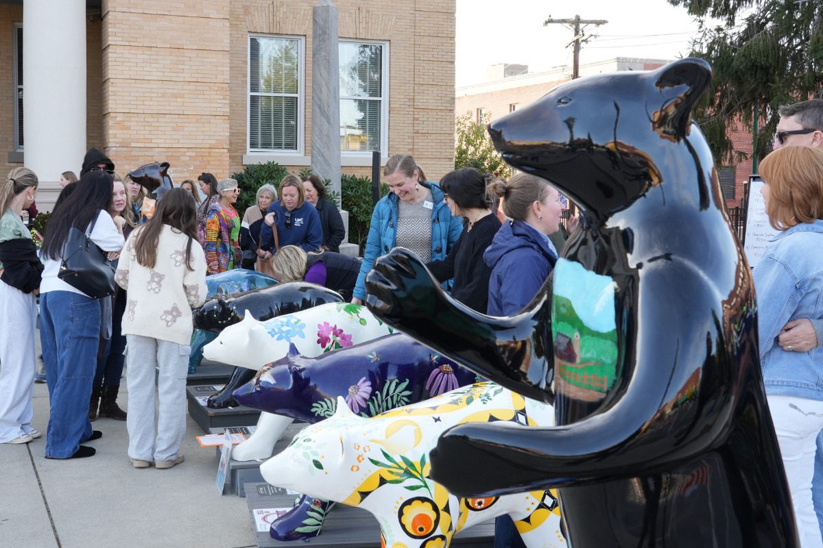 Post-Helene, Hendersonville break art auction fundraising record