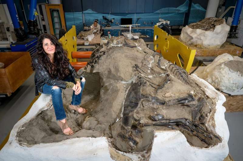 NC researchers investigate what could be a new kind of dinosaur