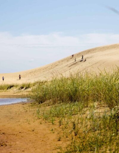 The Outer Banks will make you fall in love with visiting the beach after primetime.