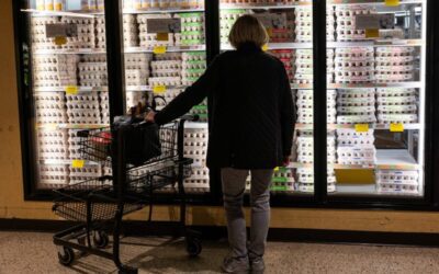 Millions could go hungry in NC if SNAP benefits are paused during government shutdown