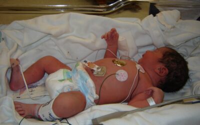 Medicaid funding shortfall shutters statewide program helping moms and babies