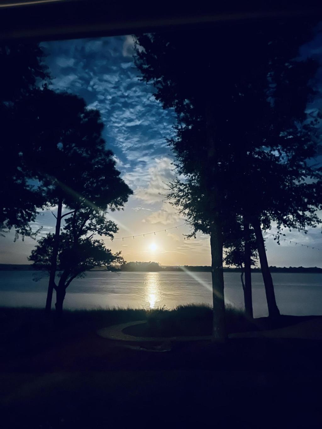 😋 8 viral foods to try in North Carolina